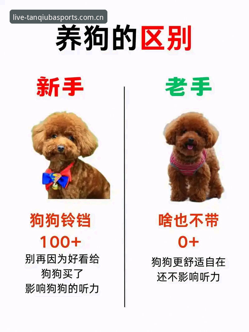 谈球吧直播推荐常见问题对比分析：新手vs老手如何选择最佳方案？